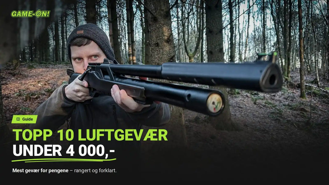 Topp 10 luftgevær under 4000kr (2026-guide)