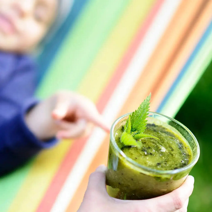 LYOFOOD Økologisk Neslepulver – Supergrønt for smoothie, suppe og bakst - Game-On.no